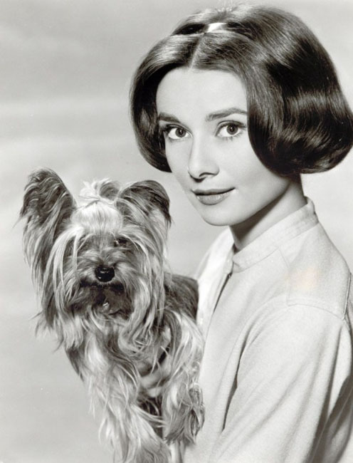 Audrey Hepburn (13)