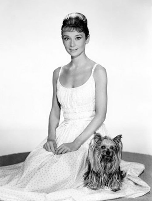 Audrey Hepburn (6)