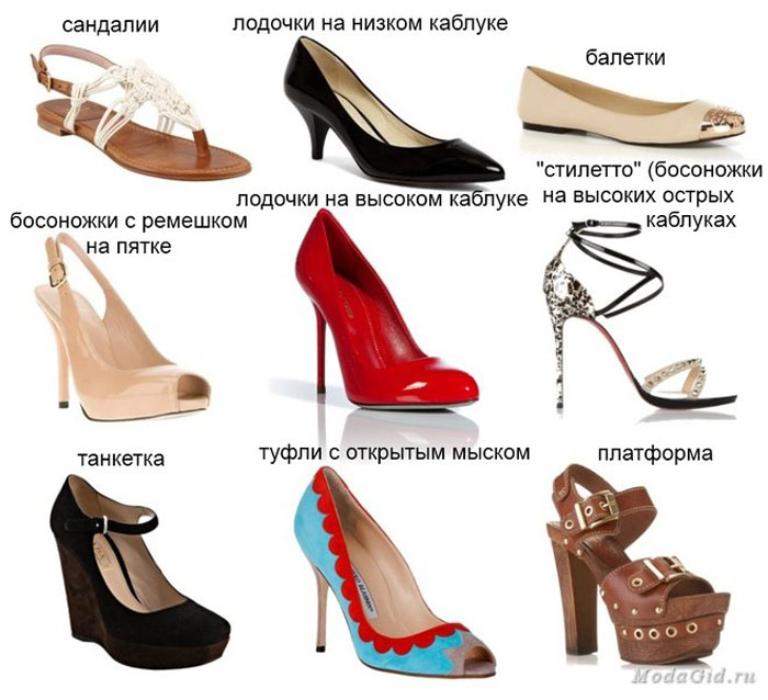 Виды обуви — классификация в картинках